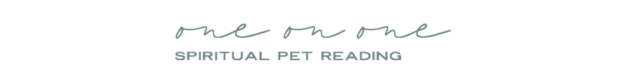 One On One Pet Reading
