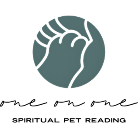 One On One Pet Reading
