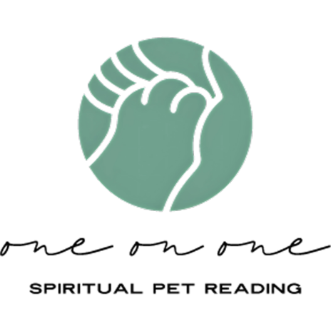 One On One Pet Reading